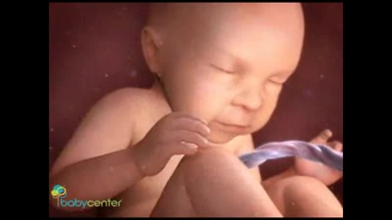 Взгляд на беременность изнутри 28 37 неделя