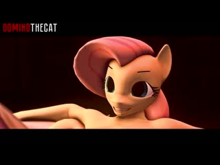 2382648 domino fluttershy twilight sparkle anthro animated futa