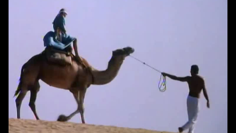 Приключение в пустыне или оазис страсти)