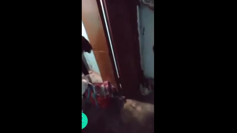 Мужик жестоко наказал барыгу, который ходит по квартирам и впаривает копеечную фигню за огромные деньги