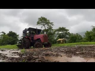 Салман занимается фермерством