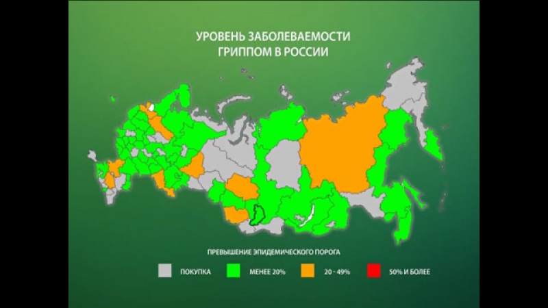 Свиной porn video – В хакасию пришёл свиной грипп