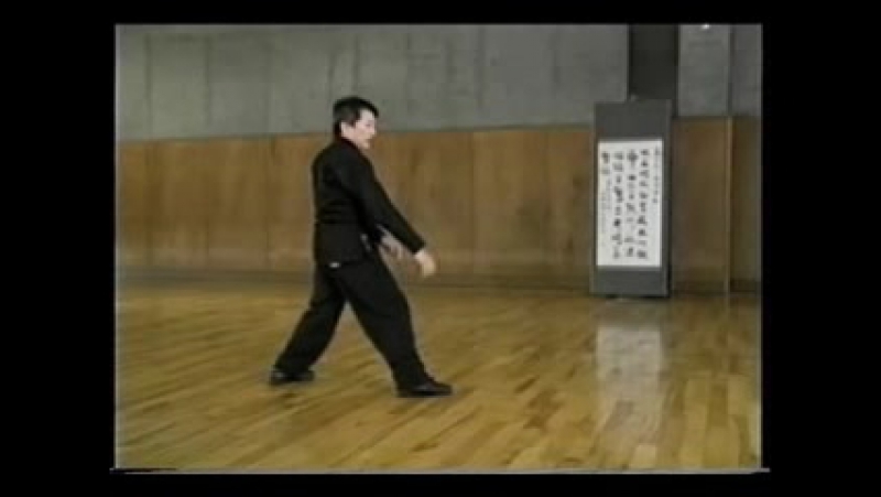 Аутентичный бацзи цюань (authentic pachi chuan)