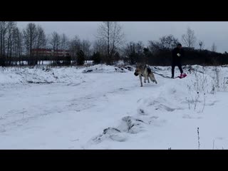 Видео от pavel semykin