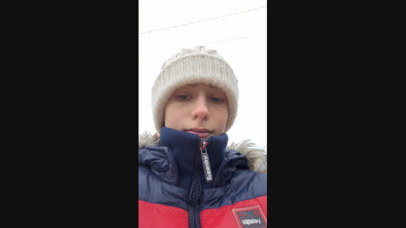 Live kht equestile | хоббихорсинг