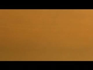 Pink panther e010 the pink tail fly dvdrip xvid