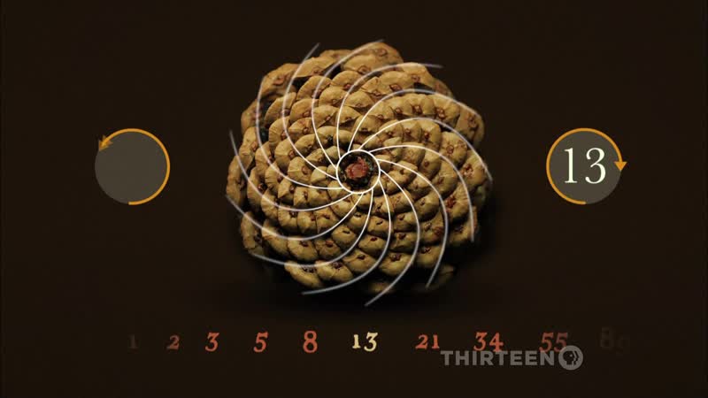 ᴴᴰ великая тайна математики / the great math mystery (2016) (научно популярный фильм) hd 1080