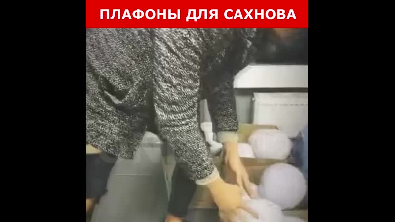 Даня сахнов и плафоны