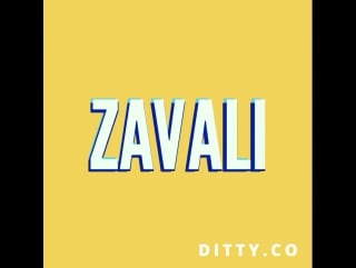 Ditty zavali