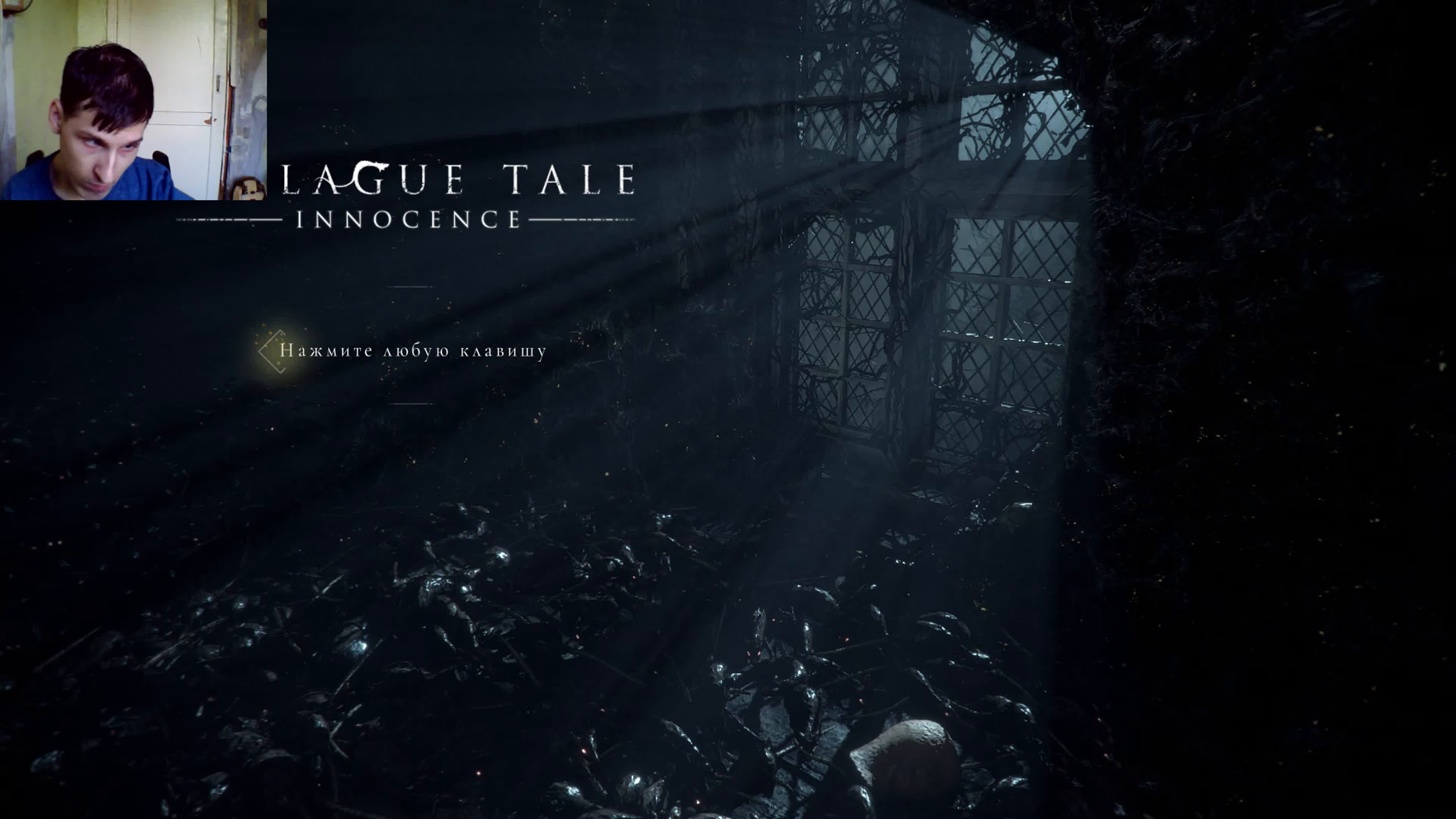 A plague tale innocence - BEST XXX TUBE