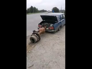 Машины гибнут за металл