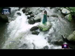 Stive morgan life source (2017)