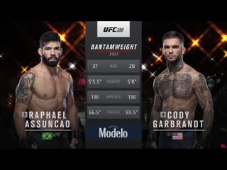 Cody garbrandt vs raphael assunção