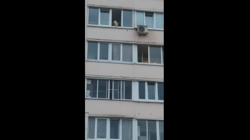 Видео от автомобилисты коломны (kolomnarul)
