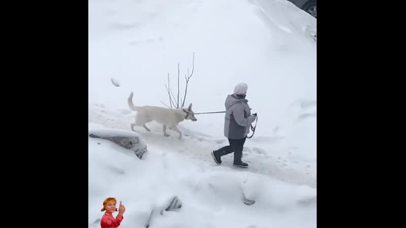 Чмокнул в щечку