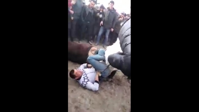 Никогда не сдавайся! борись до последнего