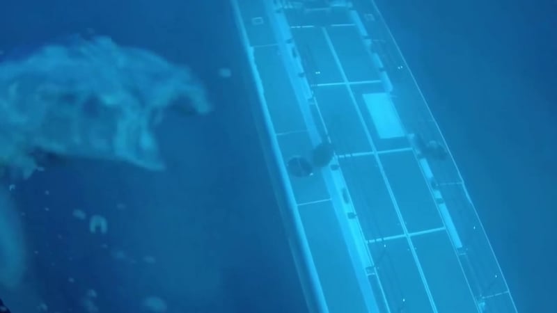 Дайверы встретили неопознанную подлодку в глубинах океана