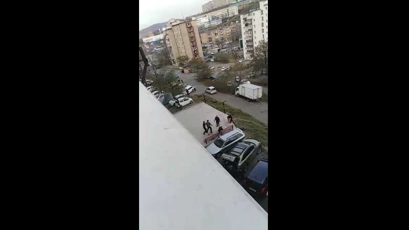 Синька зло