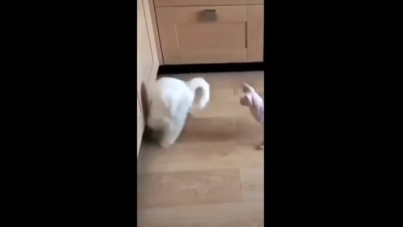 Изыди😂😂😂