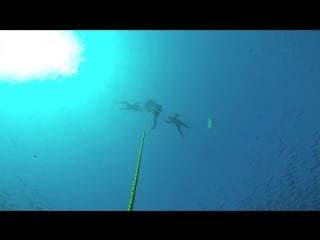 Freediving in dahab /