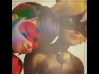 ▸lady bug | ladynoir