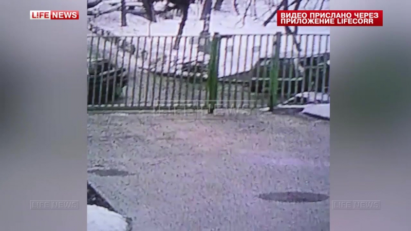 Лихач на bmw протаранил забор детсада в москве