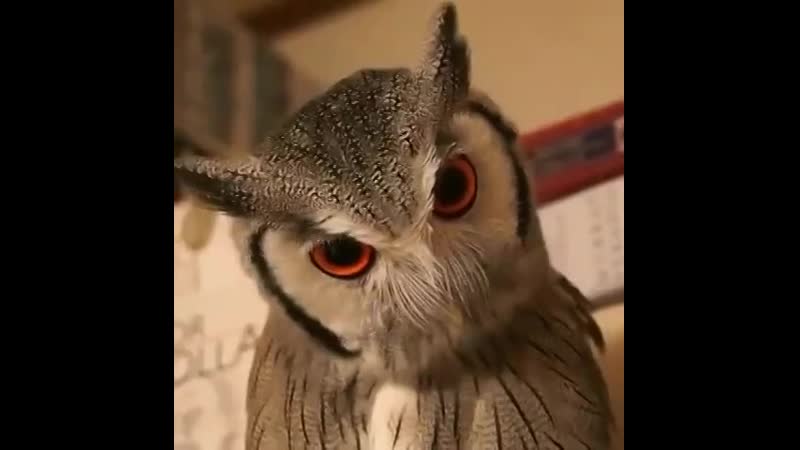 В лице поменялась