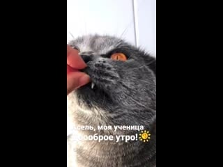 Наша ученица асель