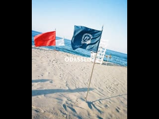 Dimension dilemma odysseus