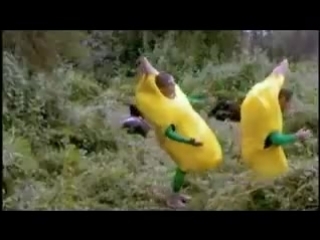 Wildboyz steve o and chris pontius in banana suit