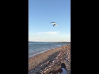 Пилоты развлекаются