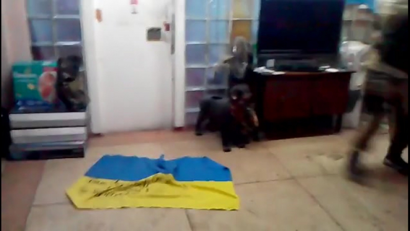 Гопак от ополчения