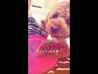 Kishino rika 171027 instagram