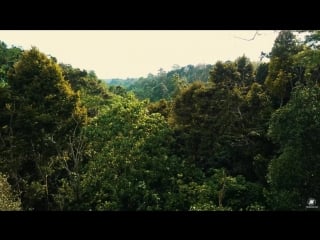 Sasha malkovich organic vibes