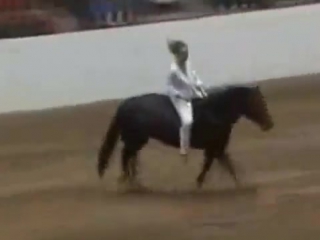 Stacy westfall 2006 championship bareback ride