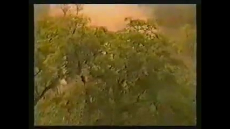 Рулят porn video – Татары рулят