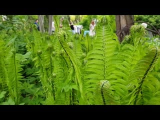 #dashabeautytv backstage advertising shoot