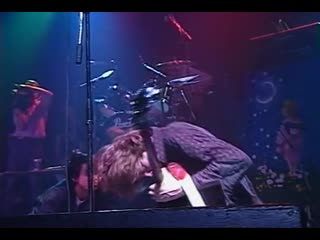 Sonic youth & iggy pop i wanna be your dog [live]