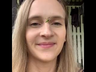 Скакунчик на лице (mopsus mormon)