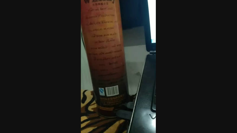 Live чёрные стрижи мсс