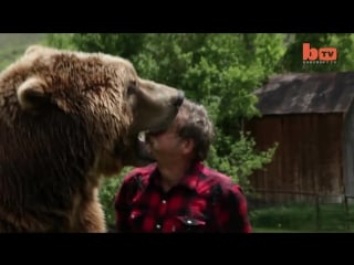 Wrestling a grizzly bear in my garden
