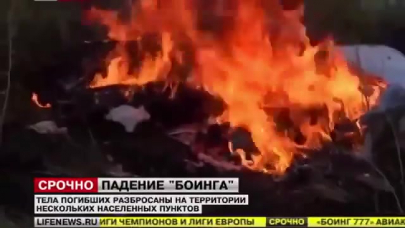 Malaysia airlines mh17 boeing 777 crashed full hd