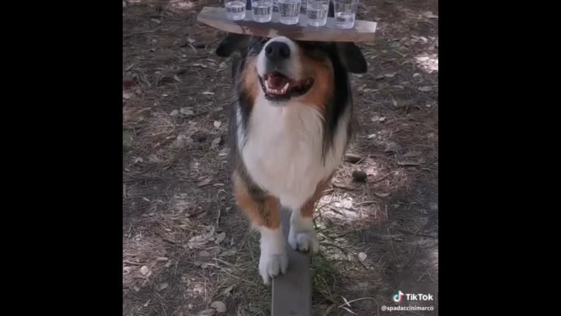 Равновесия молодые