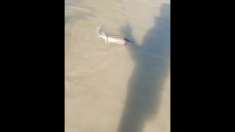 Неожиданный трофей😬