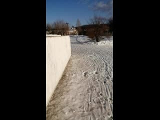 Vid 20200314 171348 mp4