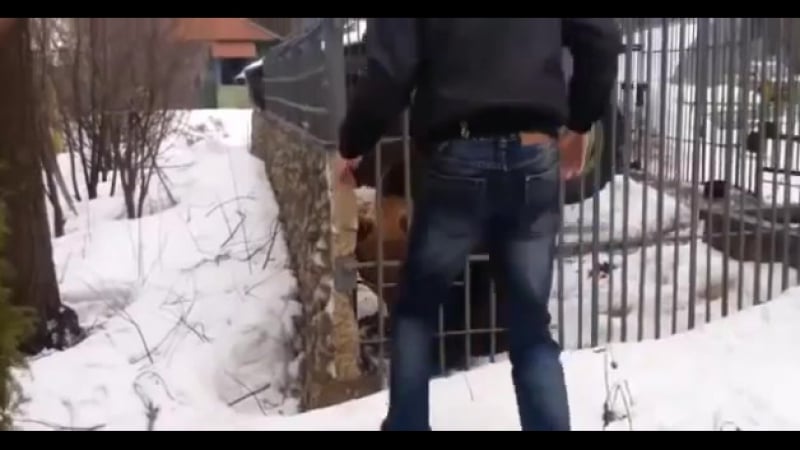 Не лезь, блядь, дебил, сука, ебаный ты чё, хххуёл, я те сказали что ли? залезь, наххуй, нака обратно, блядь! дебил, блядь