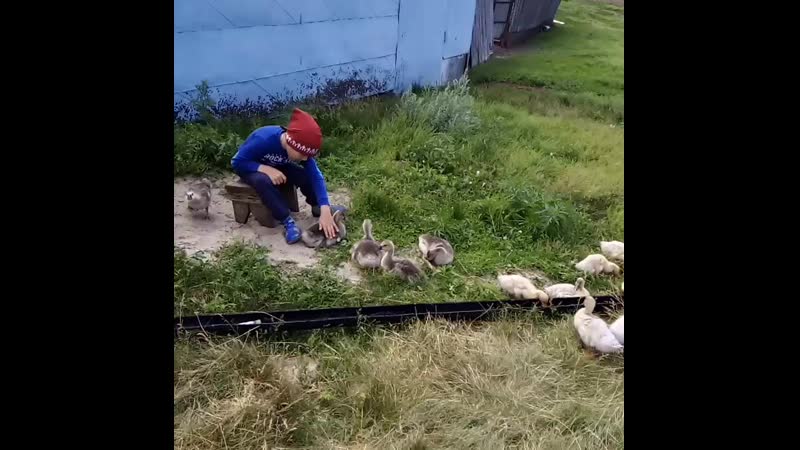 Егорка пастушок)