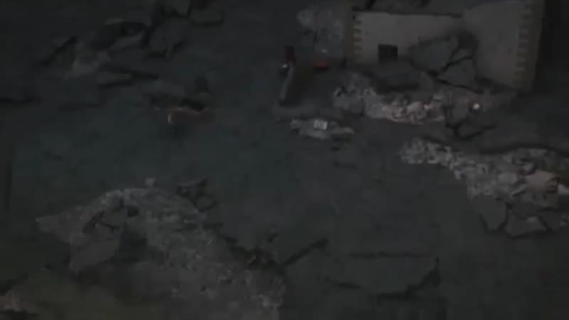 Получайте, опята! | для вп | anomalocaris и emerald weapon