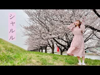 【のんたん】シャルル 踊ってみた【桜】 niconico video sm40268403