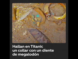 Hallan en los restos del titanic un collar con un diente de megalodón